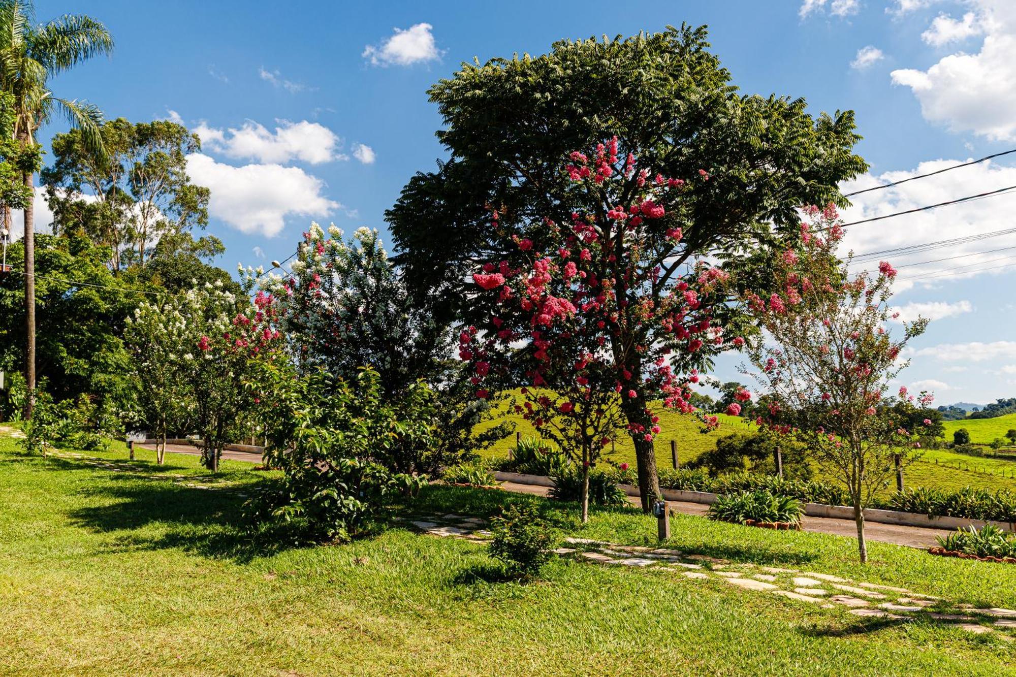 Morro De Santo Agostinho 4* Lindoia